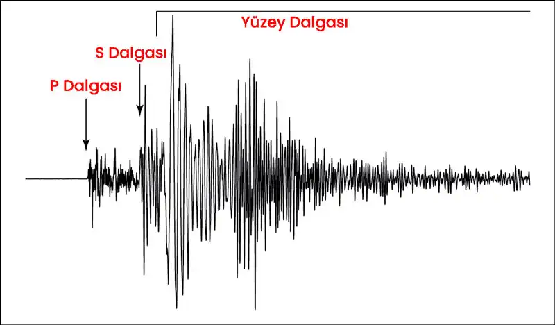 Depremi İnceleyen Bilim Dalı Nedir?